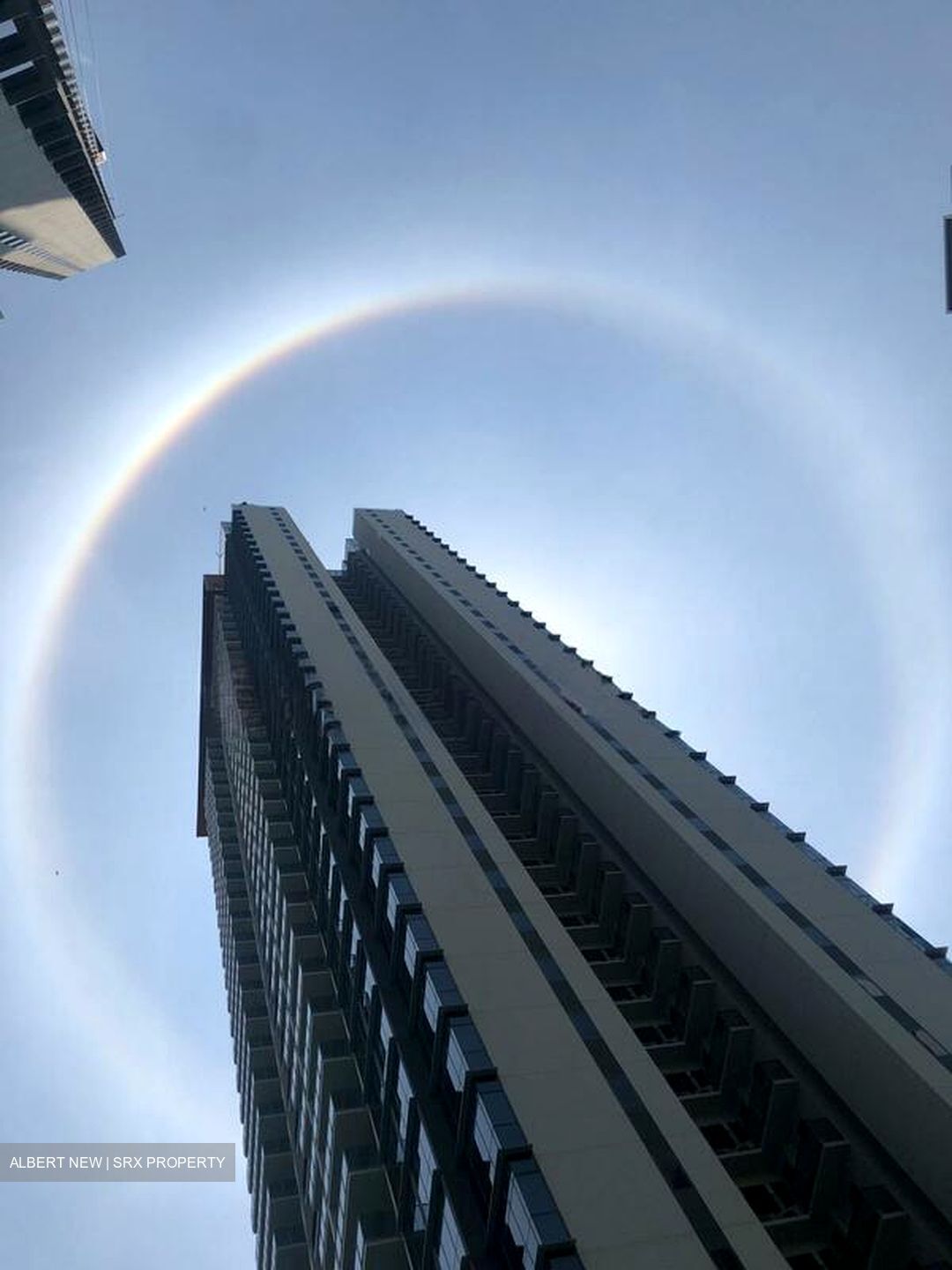 Twin Vew (D5), Apartment #504525701